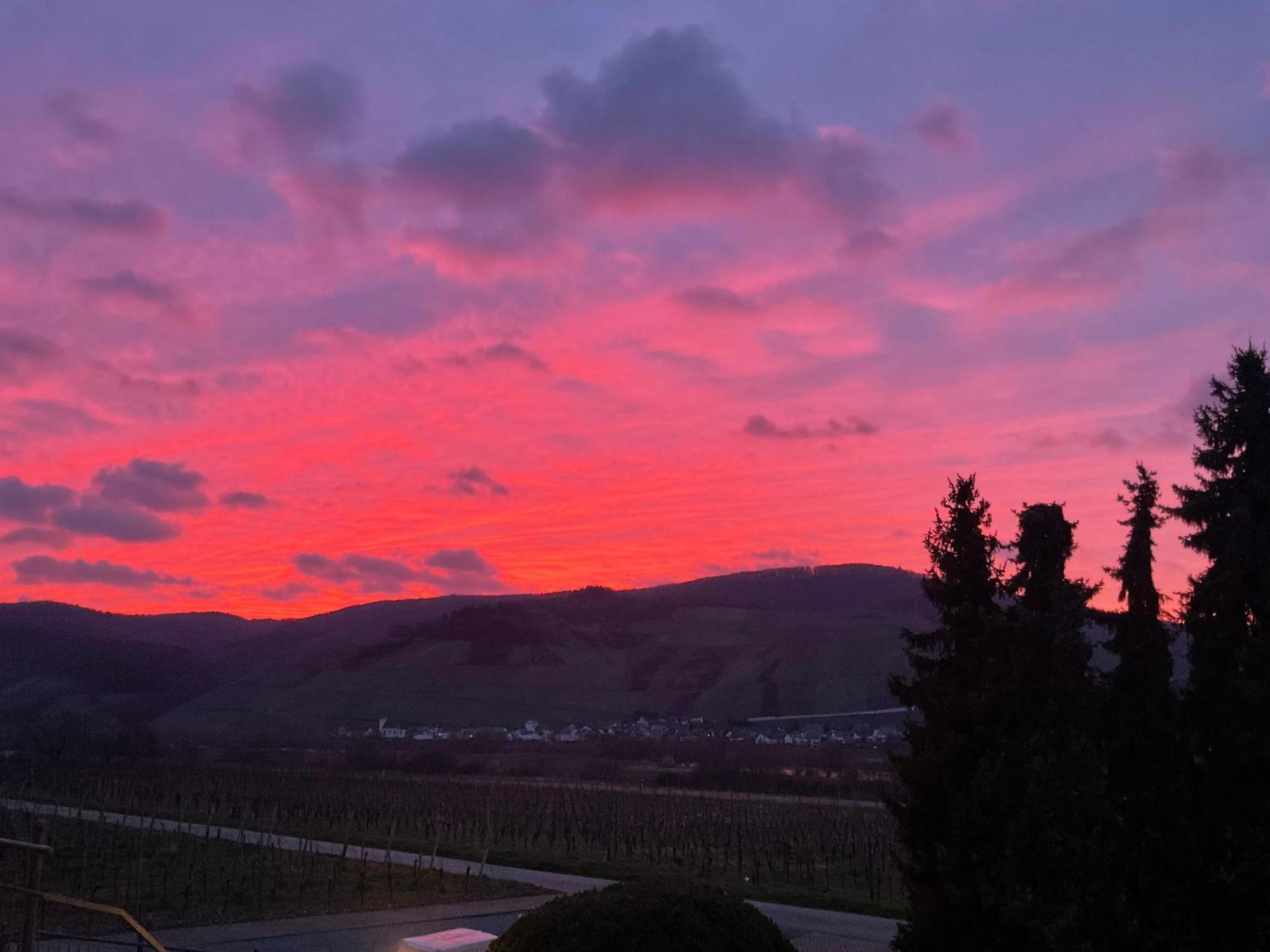 Weingut Bastian Hotel Brauneberg Exterior foto